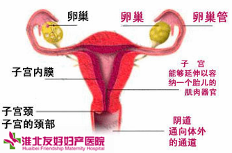 盆腔炎長期不愈會有什么危害