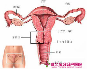 淮北治療附件炎多少錢(qián)?