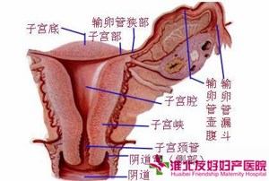 子宮內(nèi)膜癌的癥狀包括哪些